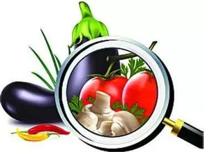 新規來了！5月1日起，平陽這樣管路邊攤玩具