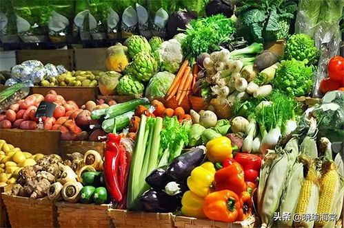 轉基因食品 全球禁令與科學爭議背后的真相